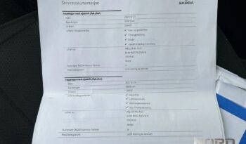 Skoda Octavia Scout 2.0 TDI 4×4 DSG full