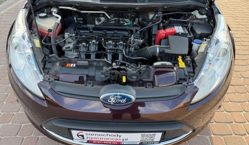 Ford Fiesta 1.25 82KM; Top Stan; Piękny kolor; Titanium; FV Marża; Zarejestrowana! full