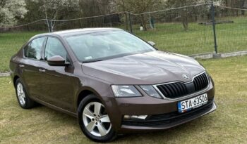 Skoda Octavia full
