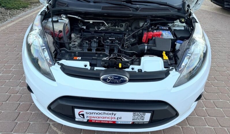 Ford Fiesta 1.25 benz 82KM; TOP Stan; Ładna; Zarejestrowana; FV Marża; Gwarancja! full