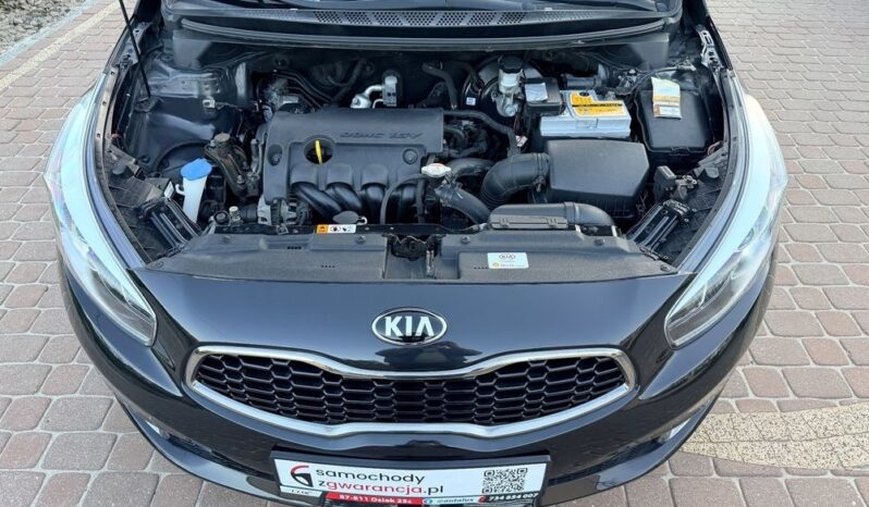 Kia Ceed 1.4 benz 100KM; Świetny stan; Bogata wersja; Zarejestrowana; Gwarancja full