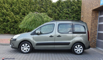 Citroën Berlingo Multispace e-HDi 90 FAP Selection full