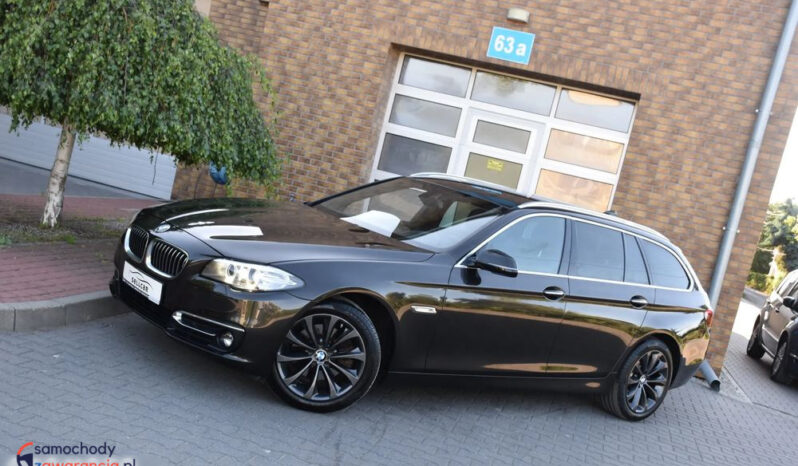 BMW Seria 5 518d Luxury Line full
