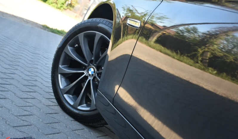 BMW Seria 5 518d Luxury Line full