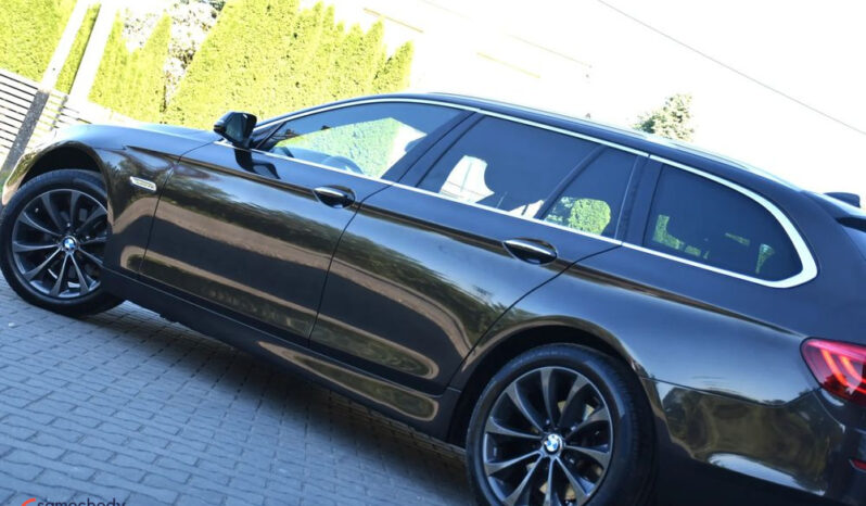 BMW Seria 5 518d Luxury Line full