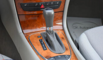 Mercedes-Benz Klasa E 500 4-Matic Avantgarde full