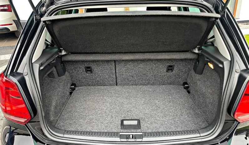 Volkswagen Polo 1.4 TDI Blue Motion Technology Allstar full