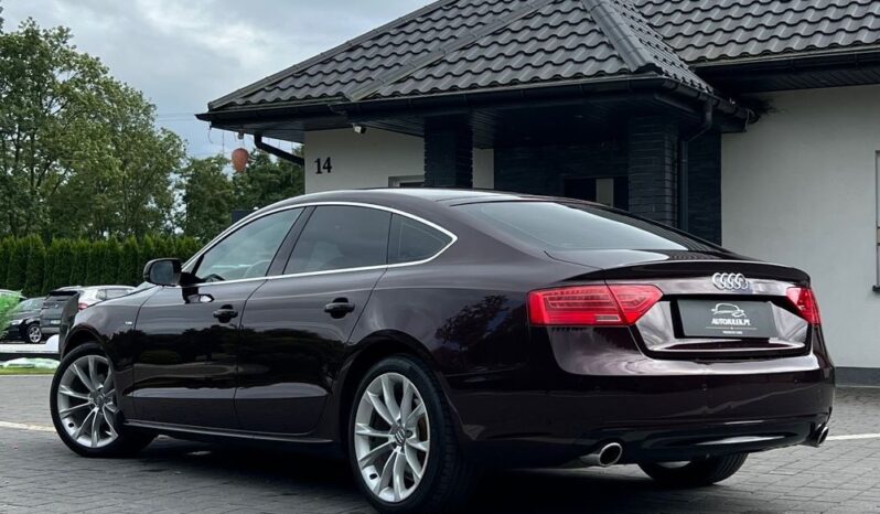 Audi A5 Sportback 1.8 TFSI 170KM ALKANTARA XENON GRZANE FOTELE SERWISOWANA BEZWYPADKOWA GWARANCJA full