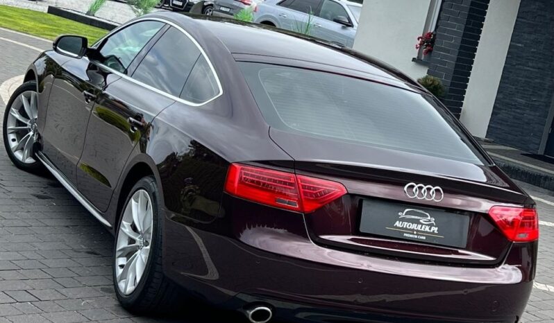 Audi A5 Sportback 1.8 TFSI 170KM ALKANTARA XENON GRZANE FOTELE SERWISOWANA BEZWYPADKOWA GWARANCJA full