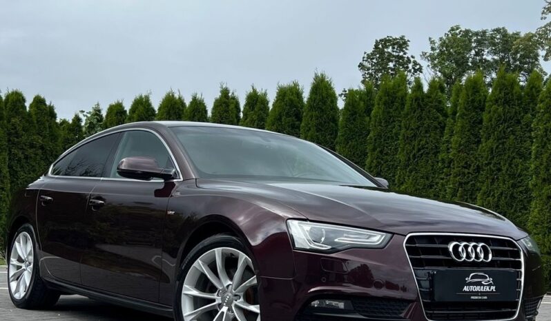 Audi A5 Sportback 1.8 TFSI 170KM ALKANTARA XENON GRZANE FOTELE SERWISOWANA BEZWYPADKOWA GWARANCJA full