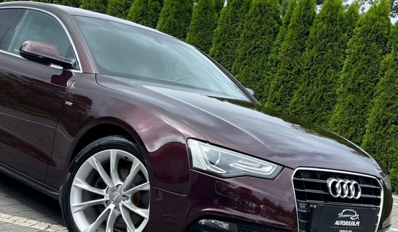 Audi A5 Sportback 1.8 TFSI 170KM ALKANTARA XENON GRZANE FOTELE SERWISOWANA BEZWYPADKOWA GWARANCJA full