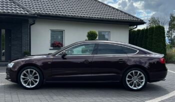 Audi A5 Sportback 1.8 TFSI 170KM ALKANTARA XENON GRZANE FOTELE SERWISOWANA BEZWYPADKOWA GWARANCJA full