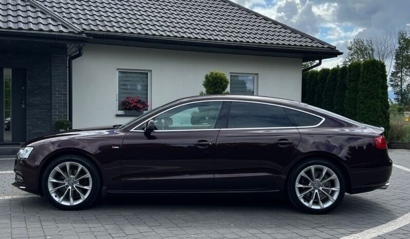 Audi A5 Sportback 1.8 TFSI 170KM ALKANTARA XENON GRZANE FOTELE SERWISOWANA BEZWYPADKOWA GWARANCJA full