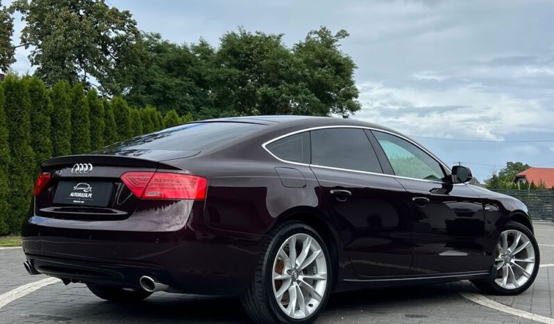 Audi A5 Sportback 1.8 TFSI 170KM ALKANTARA XENON GRZANE FOTELE SERWISOWANA BEZWYPADKOWA GWARANCJA full