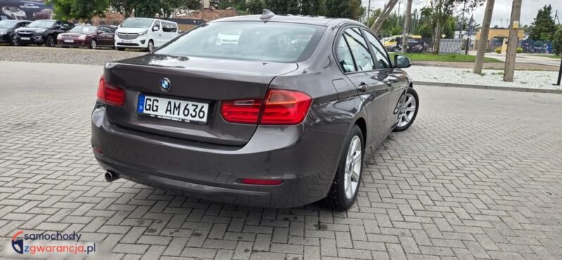 BMW Seria 3 316d EU6 full
