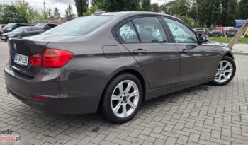 BMW Seria 3 316d EU6 full