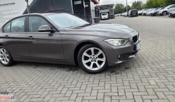 BMW Seria 3 316d EU6 full