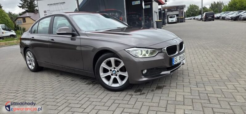 BMW Seria 3 316d EU6 full