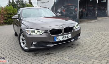 BMW Seria 3 316d EU6 full