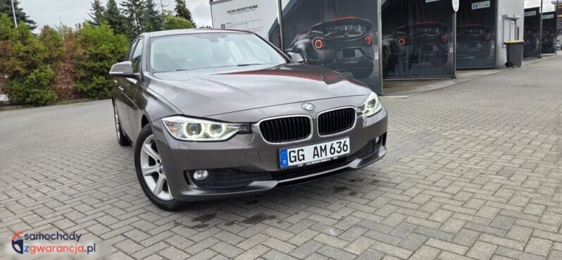 BMW Seria 3 316d EU6 full