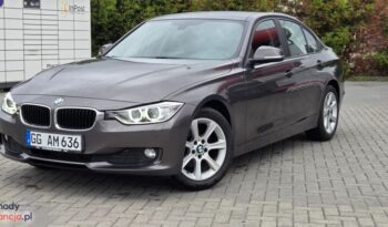 BMW Seria 3 316d EU6 full