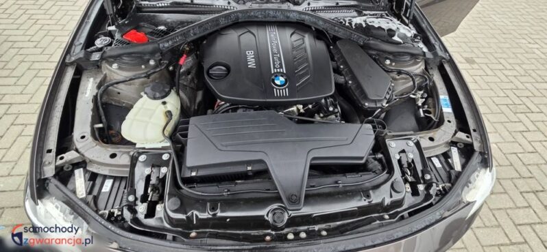BMW Seria 3 316d EU6 full