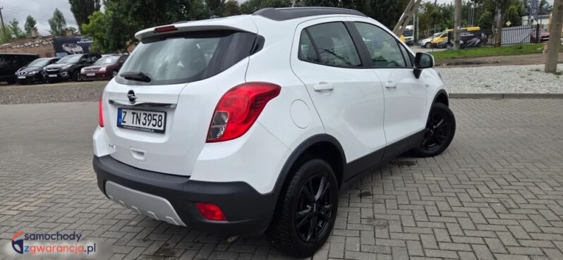 Opel Mokka 1.6 ecoFLEX Start/Stop Color Edition full