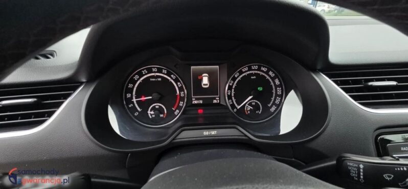 Skoda Octavia 2.0 TDI DSG RS full
