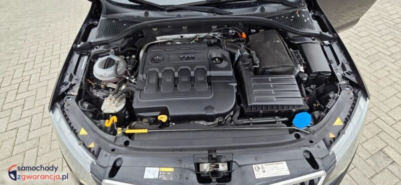 Skoda Octavia 2.0 TDI DSG RS full