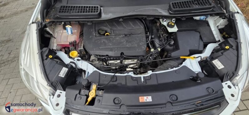 Ford Kuga 1.5 EcoBoost FWD Trend ASS full