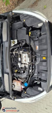 Ford C-MAX 1.0 EcoBoost Titanium ASS full