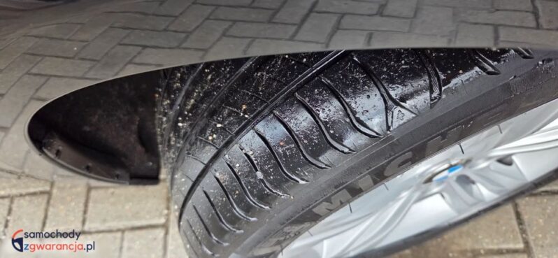 BMW Seria 3 320d Edition Luxury Line Purity full
