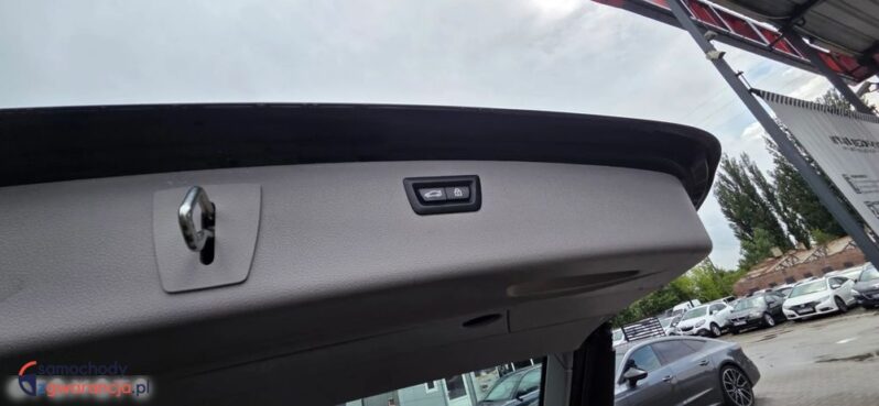BMW Seria 3 320d Edition Luxury Line Purity full
