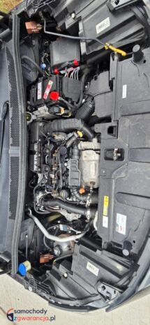 Peugeot 3008 1.5 BlueHDi GT Pack S&S EAT8 full
