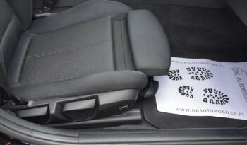 BMW Seria 3 318d Blue Performance Sport Line full