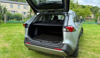 Toyota RAV4 full