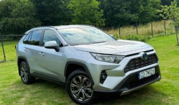 Toyota RAV4 full