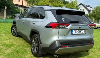 Toyota RAV4 full