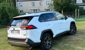Toyota RAV4 full