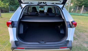 Toyota RAV4 full