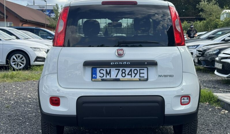 Fiat Panda Serwis ASO Salon Polska Poleasingowy I właściciel VAT 23% Bezwypadkowy III (2011-) full