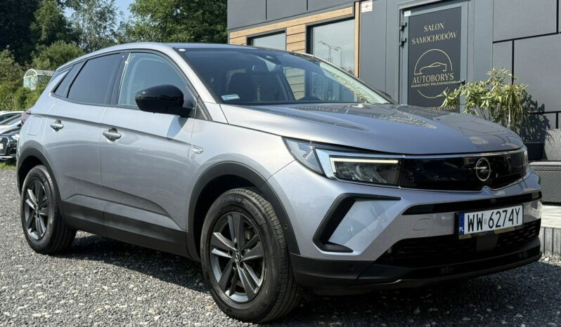 Opel Grandland X Serwis ASO VAT 23% Bezwypadkowy Salon Polska Poleasingowy I właściciel full