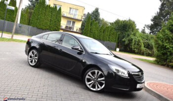 Opel Insignia 2.0 CDTI EcoFLEX Cosmo full