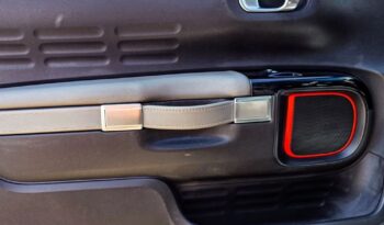 Citroën C4 Cactus 1.2 PureTech Rip Curl S&S full