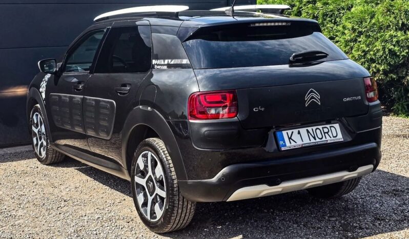 Citroën C4 Cactus 1.2 PureTech Rip Curl S&S full