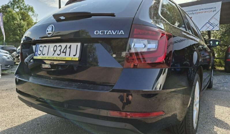 Škoda Octavia Klimatronic 2-stref, Podgrz. fotele + kierownica, DSG, Hak, CarPlay III (2013-) full