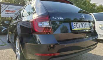 Škoda Octavia Klimatronic 2-stref, Podgrz. fotele + kierownica, DSG, Hak, CarPlay III (2013-) full