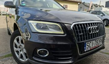 Audi Q5 LIFT, Quattro, Tiptronic 8biegów, Bi-Xenon, Podgrz. fotele, PDC 2x 8R (2008-2016) full