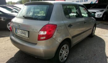Škoda Fabia Faktura Vat 23%, Klimatyzacja 1 Właściciel, Polski Salon! II (2007-2014) full