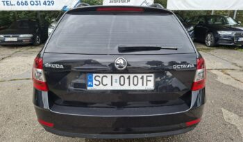 Škoda Octavia Klimatronic 2-stref, Podgrz. fotele, PL Salon, 1-szy właściciel! III (2013-) full